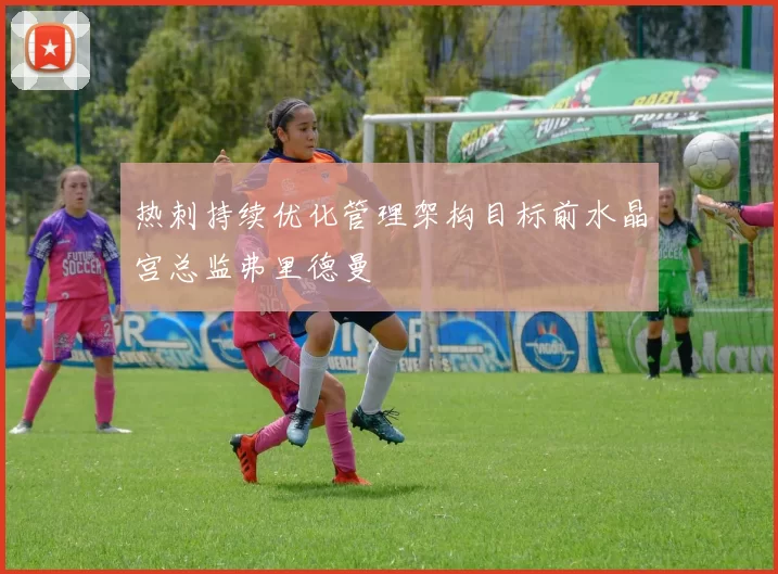 热刺持续优化管理架构目标前水晶宫总监弗里德曼