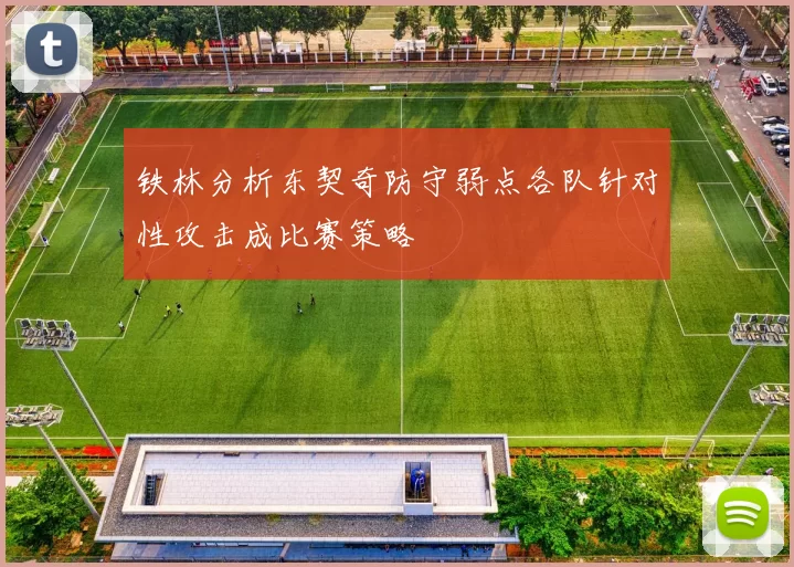 铁林分析东契奇防守弱点各队针对性攻击成比赛策略